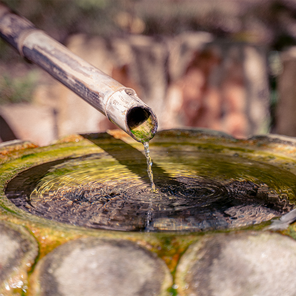 Japanese garden water spout